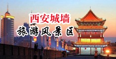 淫语黑丝母狗自慰中国陕西-西安城墙旅游风景区
